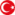 türkçe